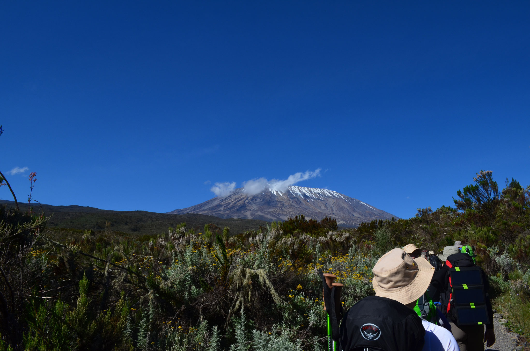 Why Tanzania is the most lovable safari destination